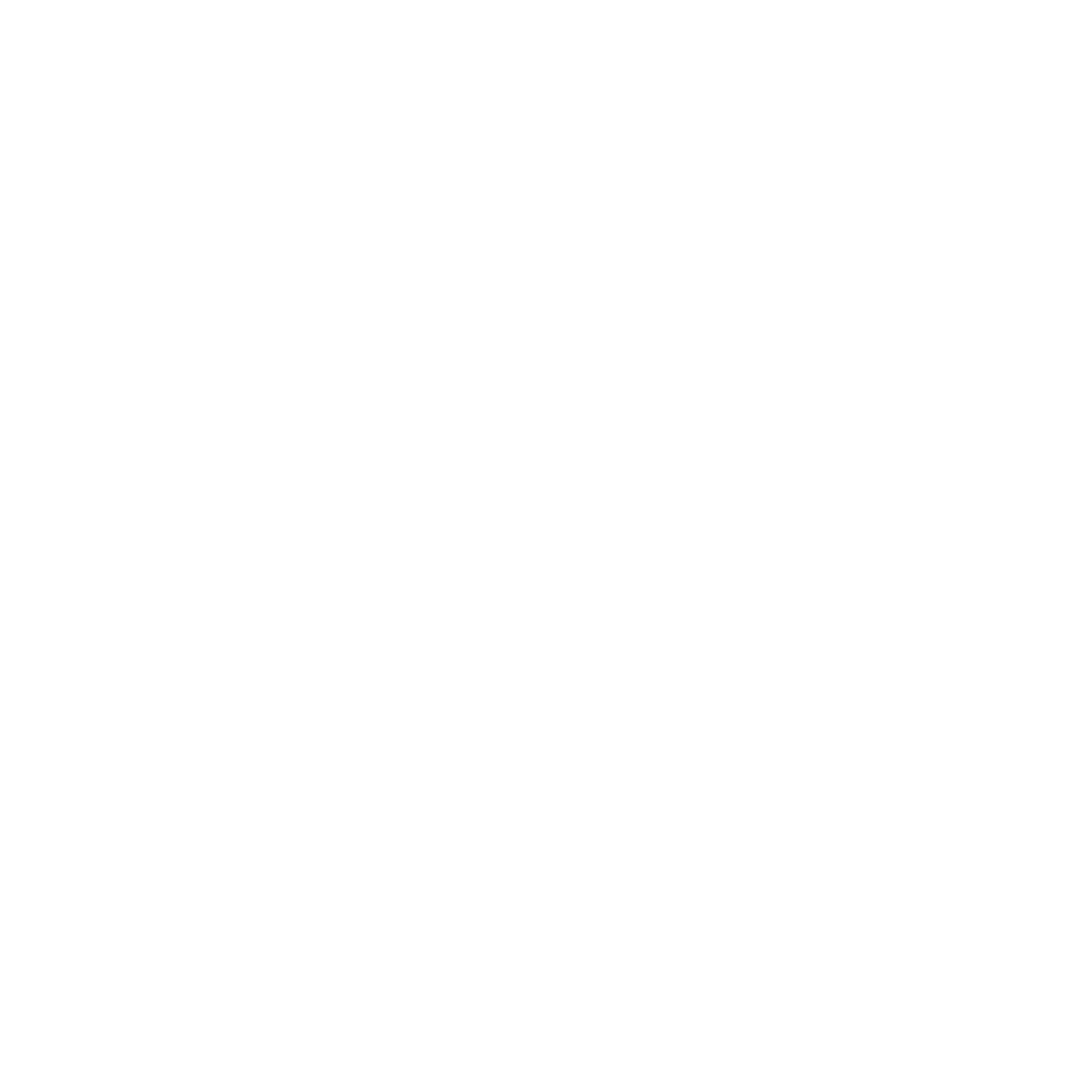 brain icon