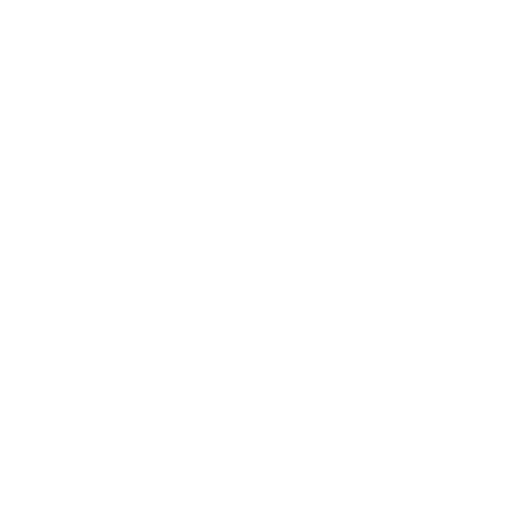 car accident icon