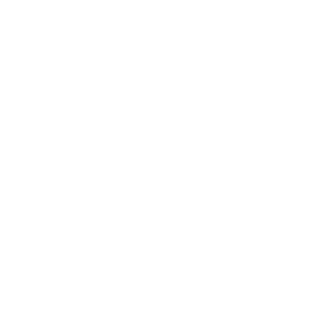 catastrophic injury icon