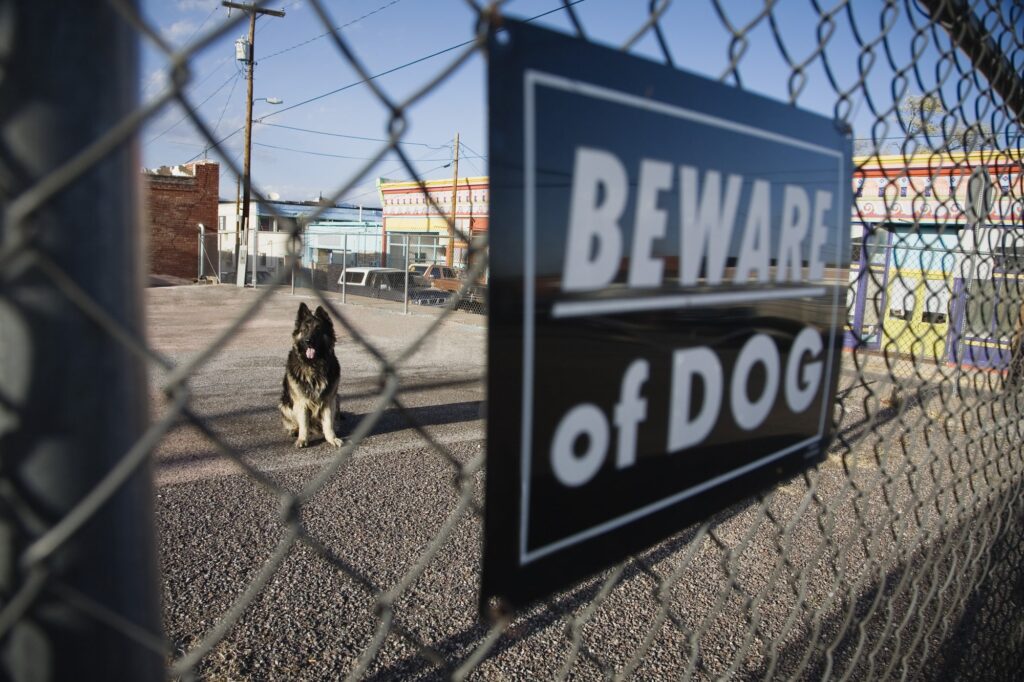 dog bite lawyer El Dorado Hills, CA