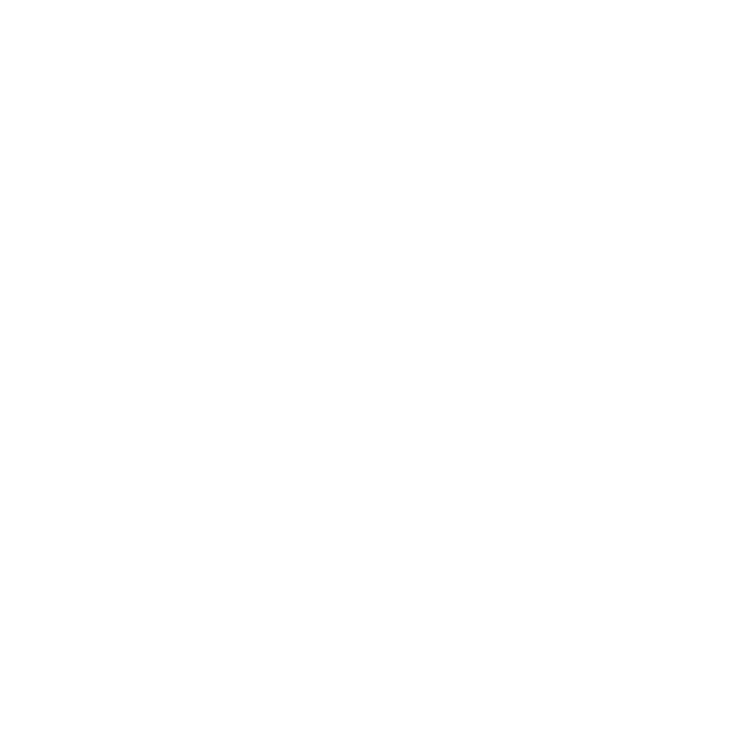 escooter icon