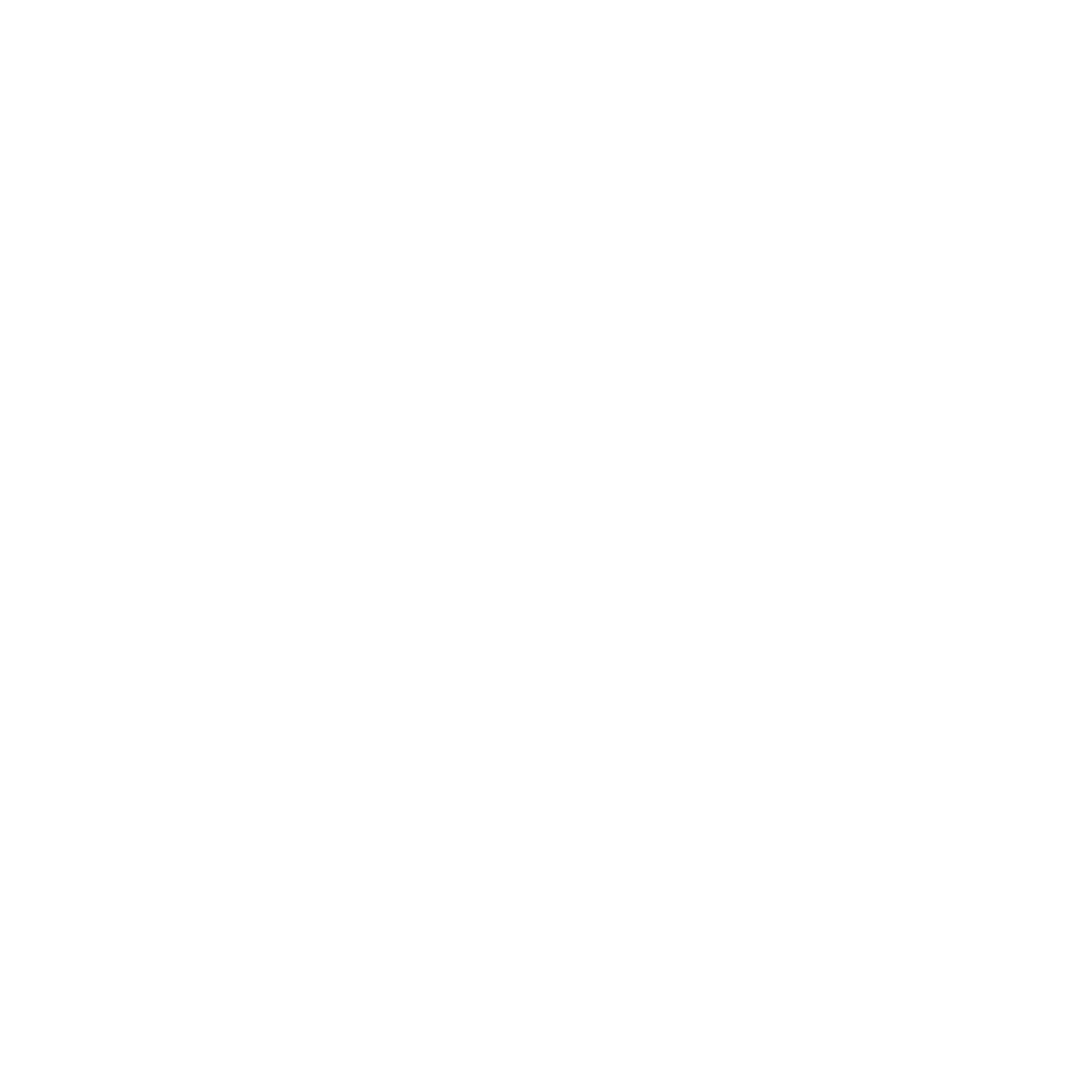 truck icon